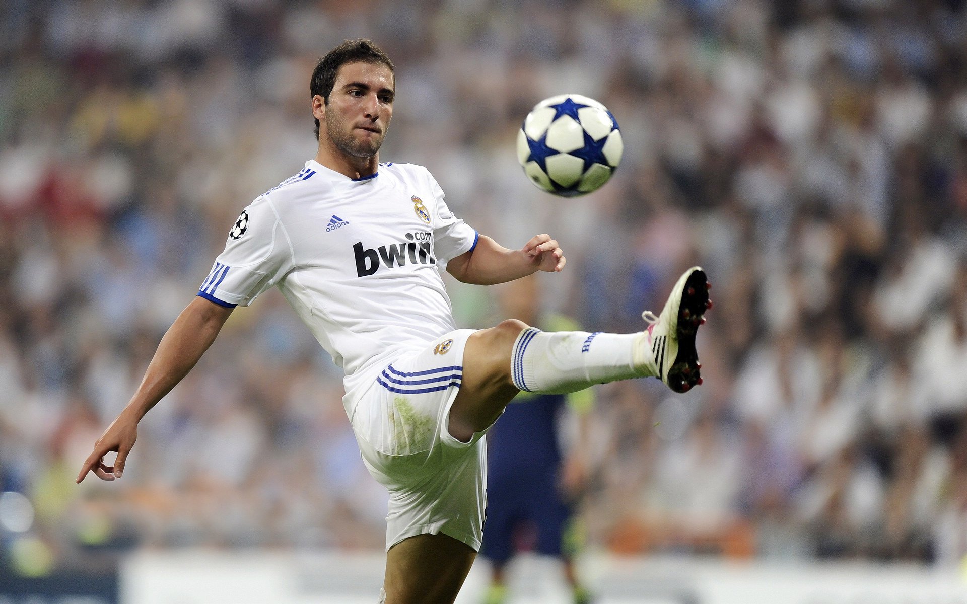 今日德甲赛事盘口推荐，今日德甲联赛